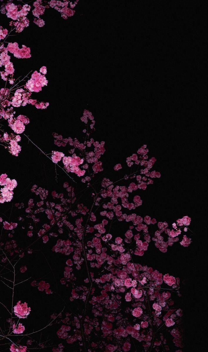 Sunset Serenity Floral Embrace